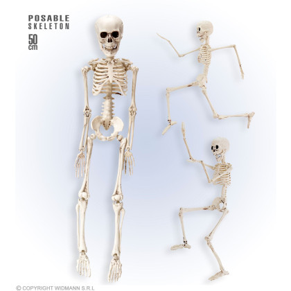 Skelett 50cm Deko