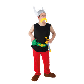 Asterix Kostüm original für Erwachsene