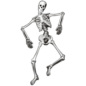 Bewegliches Skelett 134 Cm für Wand