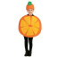 Kinderkostüm Früchte als Orange, zweiteilig