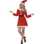 Miss Santa Costume, with Dress, Belt and Hat, in Display Bag
