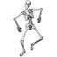 Bewegliches Skelett 134 Cm für Wand